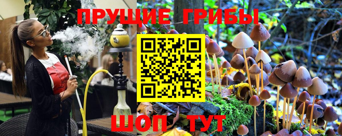 Галлюциногенные грибы Cubensis Тосно