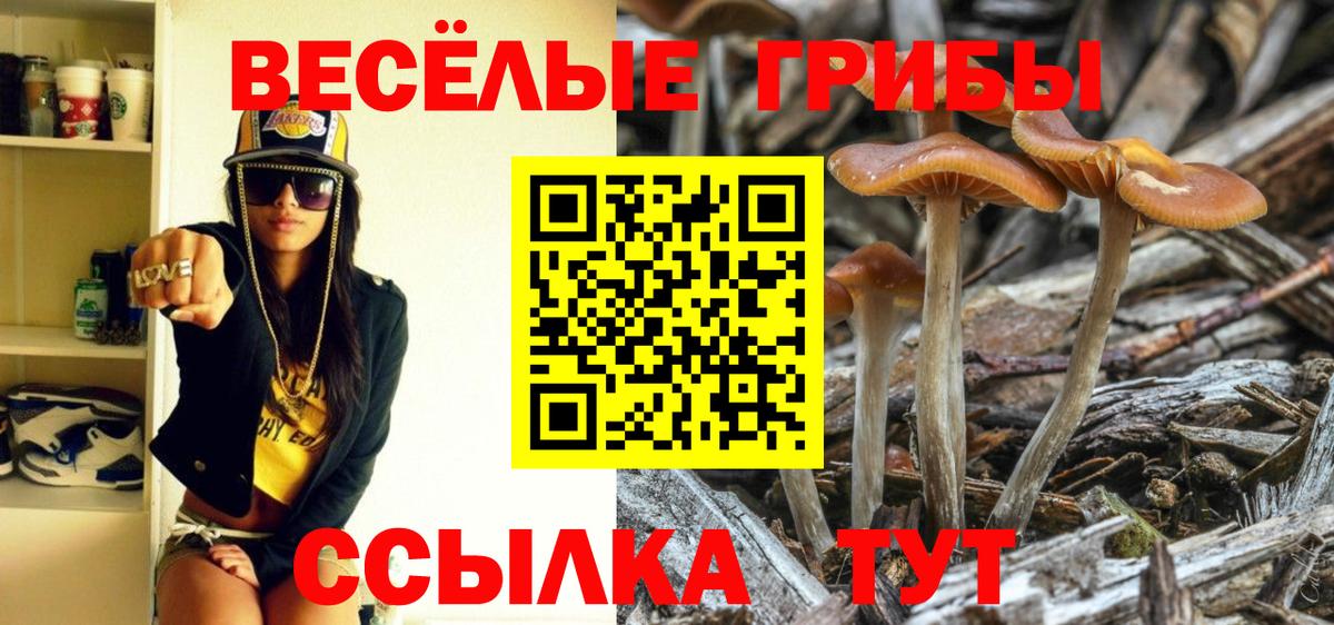 Тосно  Галлюциногенные грибы ЛСД  Вход с VPN 